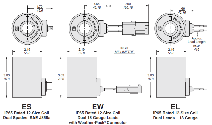 Coil_12_ES_EW_EL_DIM(2022-02-24)